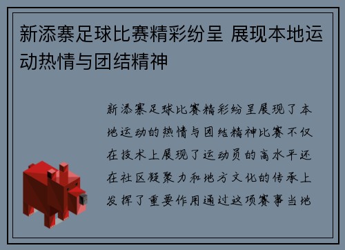 新添寨足球比赛精彩纷呈 展现本地运动热情与团结精神