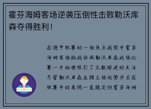 霍芬海姆客场逆袭压倒性击败勒沃库森夺得胜利！