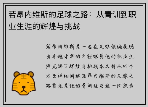 若昂内维斯的足球之路：从青训到职业生涯的辉煌与挑战