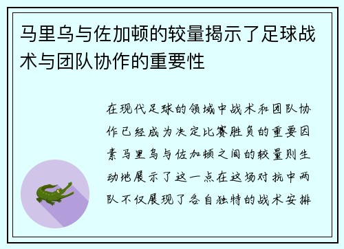 马里乌与佐加顿的较量揭示了足球战术与团队协作的重要性
