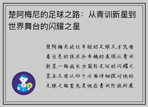 楚阿梅尼的足球之路：从青训新星到世界舞台的闪耀之星
