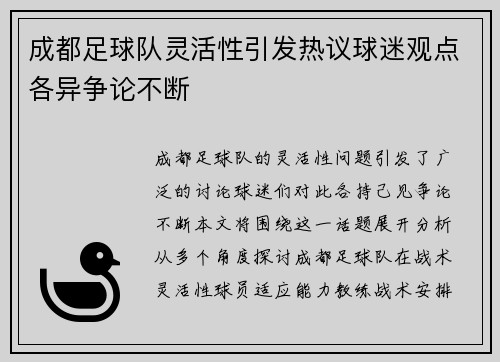 成都足球队灵活性引发热议球迷观点各异争论不断